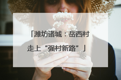 潍坊诸城：岳西村走上“强村新路”