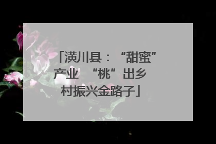 潢川县：“甜蜜”产业  “桃”出乡村振兴金路子