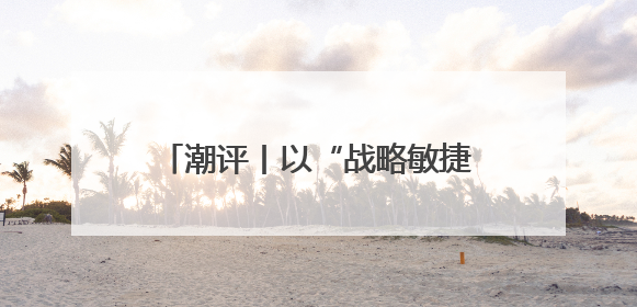 潮评丨以“战略敏捷”抢占“时差优势”