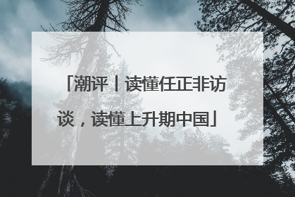 潮评丨读懂任正非访谈，读懂上升期中国