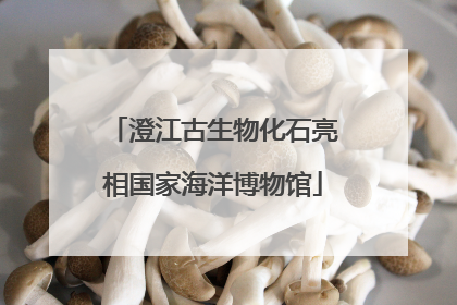 澄江古生物化石亮相国家海洋博物馆