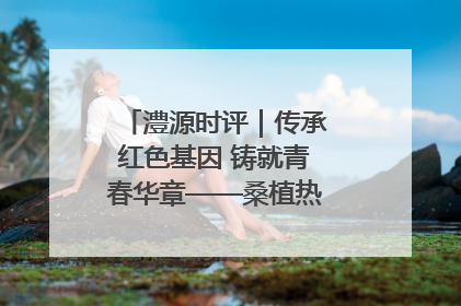 澧源时评｜传承红色基因 铸就青春华章——桑植热土上的青春长征