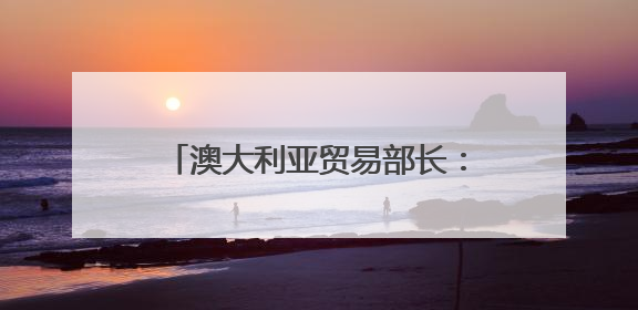 澳大利亚贸易部长：阿尔巴尼斯政府将继续坚定发展对华关系