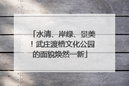水清、岸绿、景美！武庄渡槽文化公园的面貌焕然一新