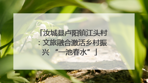 汝城县卢阳镇江头村：文旅融合激活乡村振兴 “一池春水”