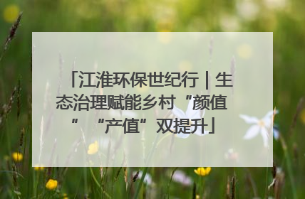 江淮环保世纪行｜生态治理赋能乡村“颜值”“产值”双提升