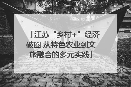 江苏“乡村+”经济破圈 从特色农业到文旅融合的多元实践
