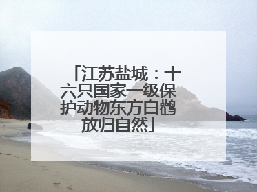 江苏盐城：十六只国家一级保护动物东方白鹳放归自然
