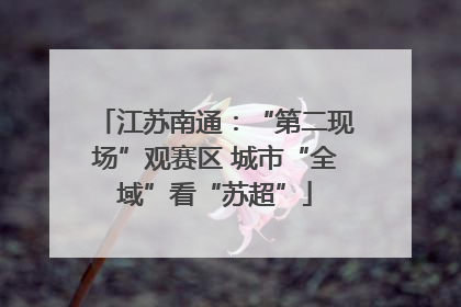 江苏南通：“第二现场”观赛区 城市“全域”看“苏超”