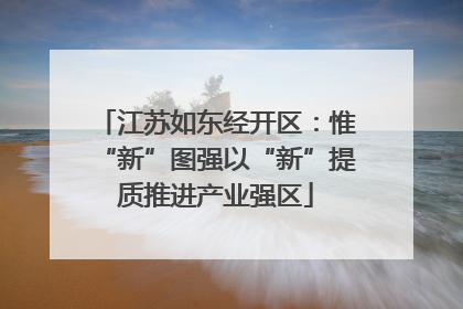 江苏如东经开区：惟“新”图强以“新”提质推进产业强区