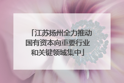 江苏扬州全力推动国有资本向重要行业和关键领域集中