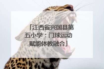 江西省兴国县第五小学：门球运动赋能体教融合