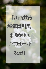 江西共青城筑巢引凤来 赋能电子信息产业发展
