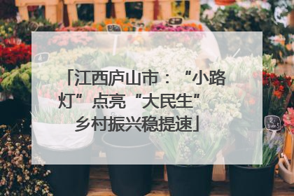 江西庐山市：“小路灯”点亮“大民生” 乡村振兴稳提速