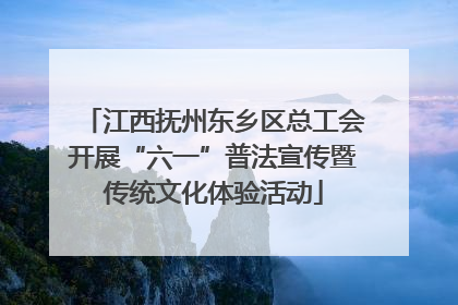 江西抚州东乡区总工会开展“六一”普法宣传暨传统文化体验活动