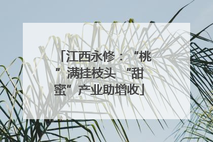 江西永修：“桃”满挂枝头 “甜蜜”产业助增收