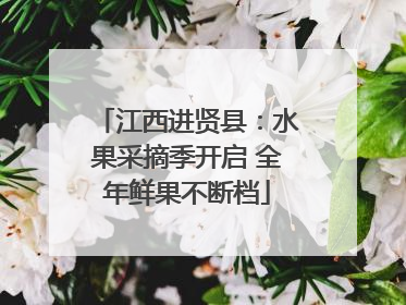 江西进贤县：水果采摘季开启 全年鲜果不断档