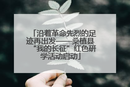 沿着革命先烈的足迹再出发——桑植县“我的长征”红色研学活动启动