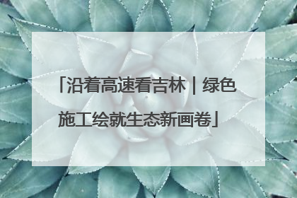 沿着高速看吉林｜绿色施工绘就生态新画卷