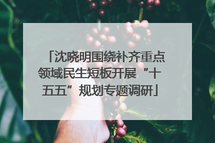 沈晓明围绕补齐重点领域民生短板开展“十五五”规划专题调研
