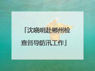 沈晓明赴郴州检查督导防汛工作
