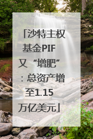 沙特主权基金PIF又“增肥”：总资产增至1.15万亿美元