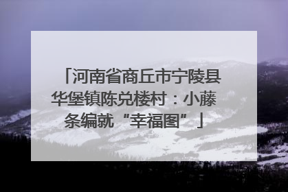 河南省商丘市宁陵县华堡镇陈兑楼村：小藤条编就“幸福图”