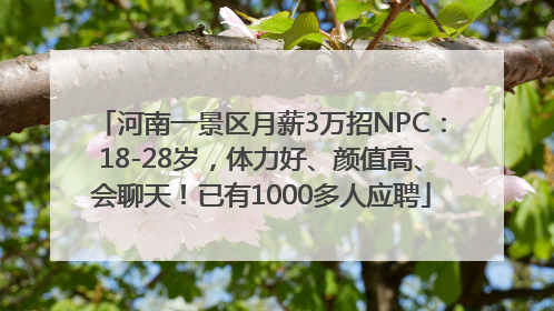 河南一景区月薪3万招NPC：18-28岁，体力好、颜值高、会聊天！已有1000多人应聘