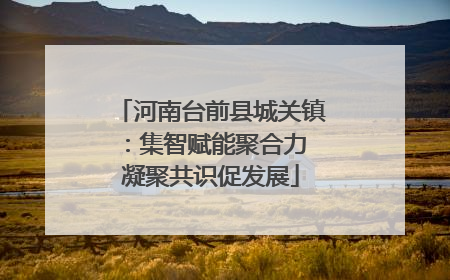 河南台前县城关镇：集智赋能聚合力 凝聚共识促发展