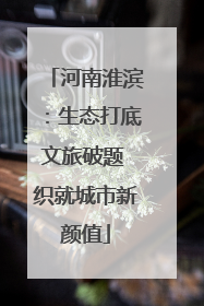 河南淮滨：生态打底文旅破题 织就城市新颜值