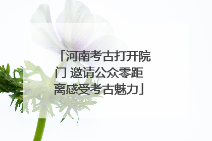 河南考古打开院门 邀请公众零距离感受考古魅力