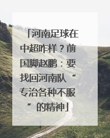 河南足球在中超咋样？前国脚赵鹏：要找回河南队“专治各种不服”的精神