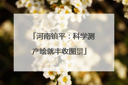 河南镇平：科学测产绘就丰收图景