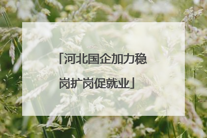 河北国企加力稳岗扩岗促就业