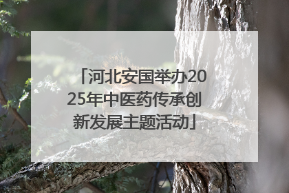 河北安国举办2025年中医药传承创新发展主题活动
