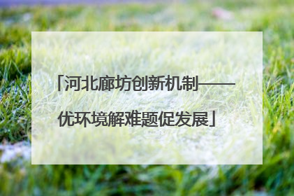 河北廊坊创新机制——优环境解难题促发展