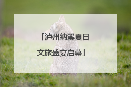 泸州纳溪夏日文旅盛宴启幕