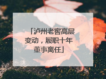 泸州老窖高层变动，履职十年董事离任