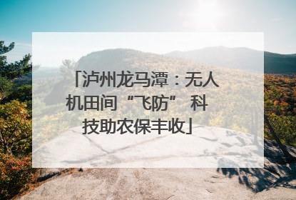 泸州龙马潭：无人机田间“飞防” 科技助农保丰收