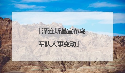 泽连斯基宣布乌军队人事变动