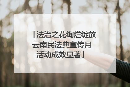 法治之花绚烂绽放 云南民法典宣传月活动成效显著