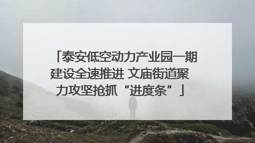 泰安低空动力产业园一期建设全速推进 文庙街道聚力攻坚抢抓“进度条”