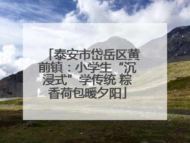 泰安市岱岳区黄前镇：小学生“沉浸式”学传统 粽香荷包暖夕阳