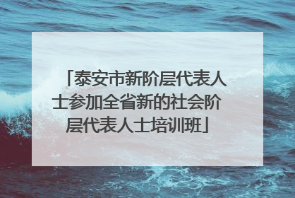 泰安市新阶层代表人士参加全省新的社会阶层代表人士培训班