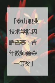 泰山职业技术学院闪耀省赛：青年教师勇夺一等奖
