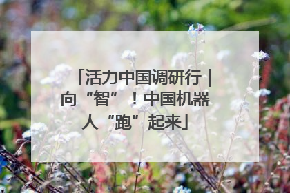 活力中国调研行｜向“智”！中国机器人“跑”起来