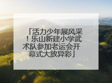 活力少年展风采！乐山新建小学武术队参加老运会开幕式大放异彩