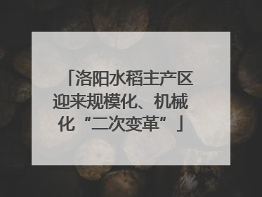 洛阳水稻主产区迎来规模化、机械化“二次变革”
