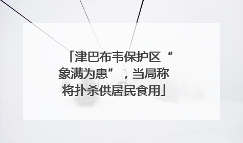 津巴布韦保护区“象满为患”，当局称将扑杀供居民食用