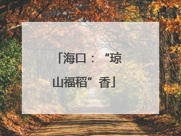 海口：“琼山福稻”香
